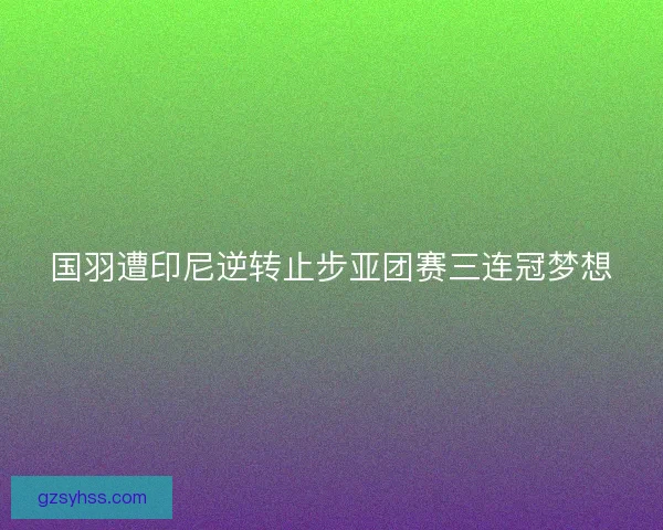 国羽遭印尼逆转止步亚团赛三连冠梦想